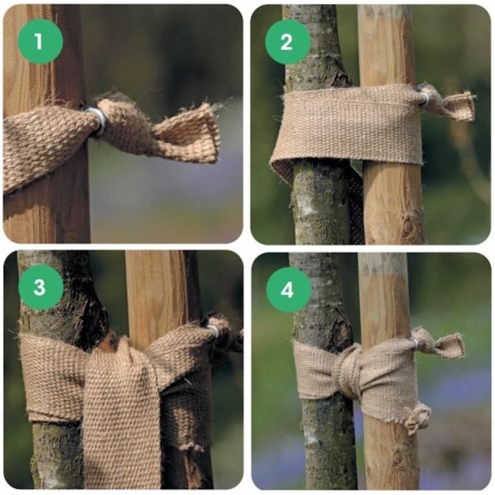 Bande de jute BIO à clouer, Largeur 5 cm - Rouleau 100 m - Toltex