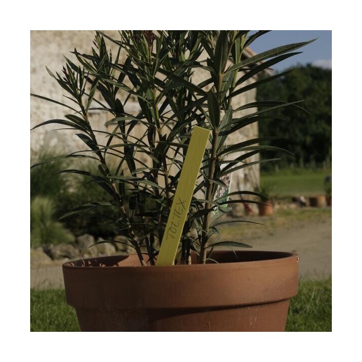 Plaquette à planter 350 x 30 mm pour identifcation des végétaux - Paquet 250 unités Toltex