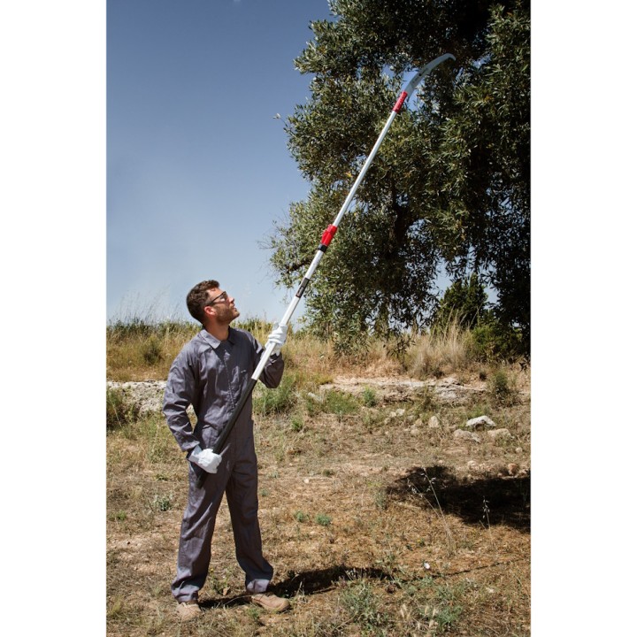 Scie arboricole télescopique 1,5 m à 3 m, 360-BH Kamikaze
