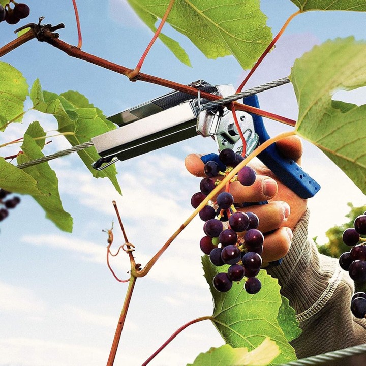 Pince vigne à ligaturer Rapid LIG150