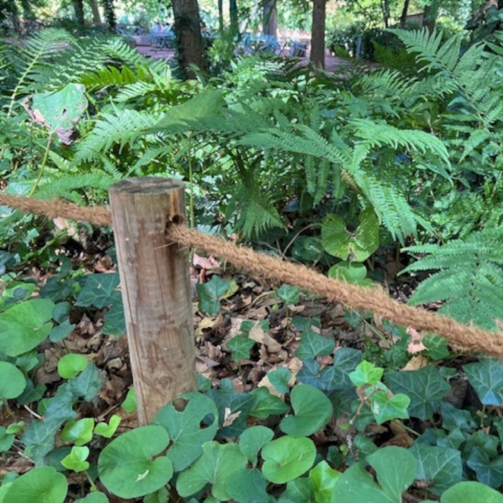 Corde COCO BIO pour Tuteurage Rouleau de 100m