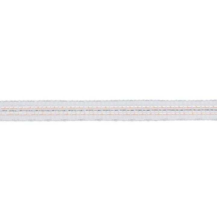 Ruban TurboLine 12,5 mm blanc Gallagher (2 unités)