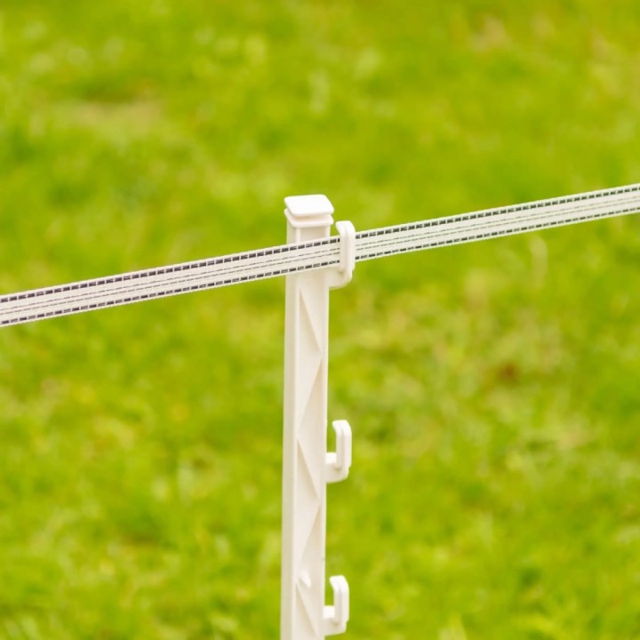 Ruban blanc conducteur 20 mm PowerLine long. 200 m Gallagher