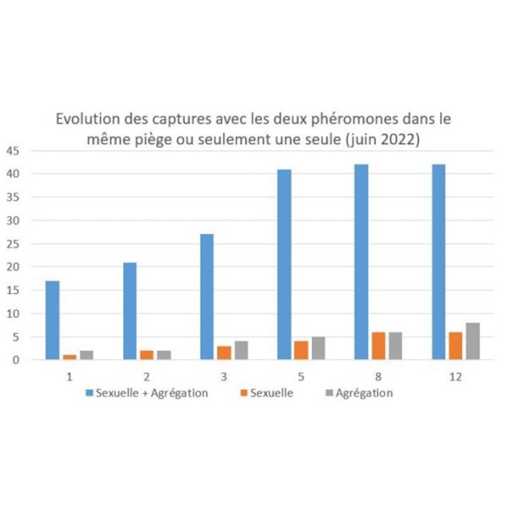 Sachet d’une capsule de phéromone d’agrégation contre la punaise diabolique - Pour piège Diablex