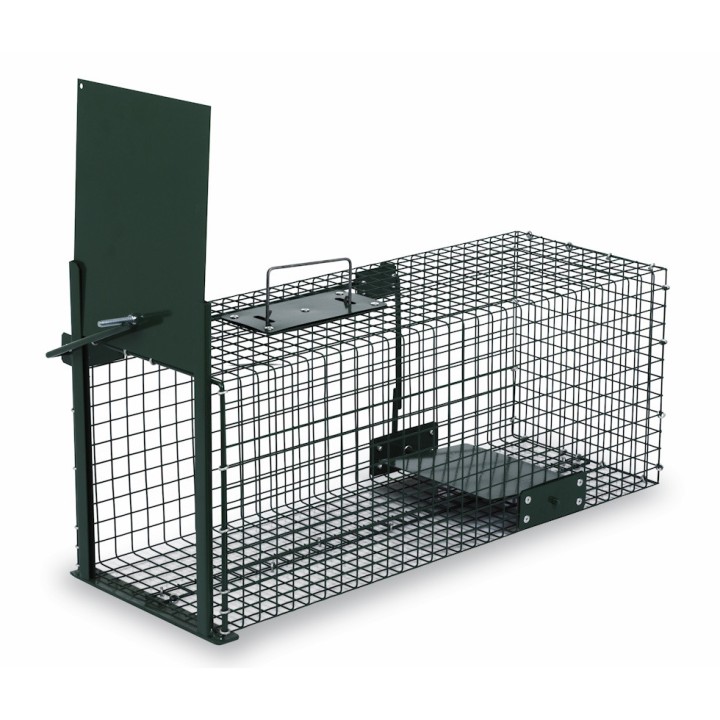 Piège cage peint 1 porte, 250 x 585 x 305 cm