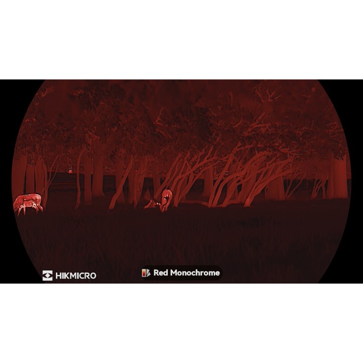 Monoculaire vision thermique Lynx LH25 3.0 - HIKMICRO