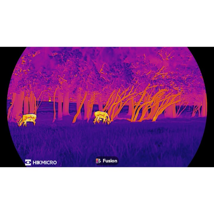 Monoculaire vision thermique Lynx LH25 3.0 - HIKMICRO