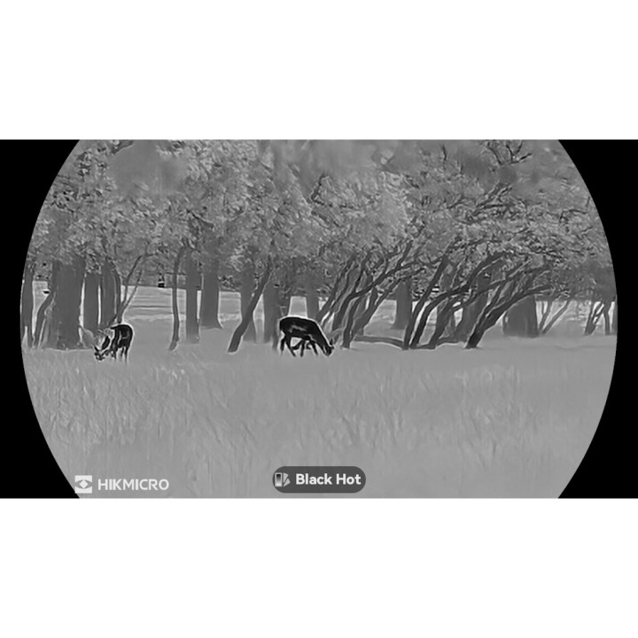 Monoculaire vision thermique Lynx LH35 3.0 - HIKMICRO