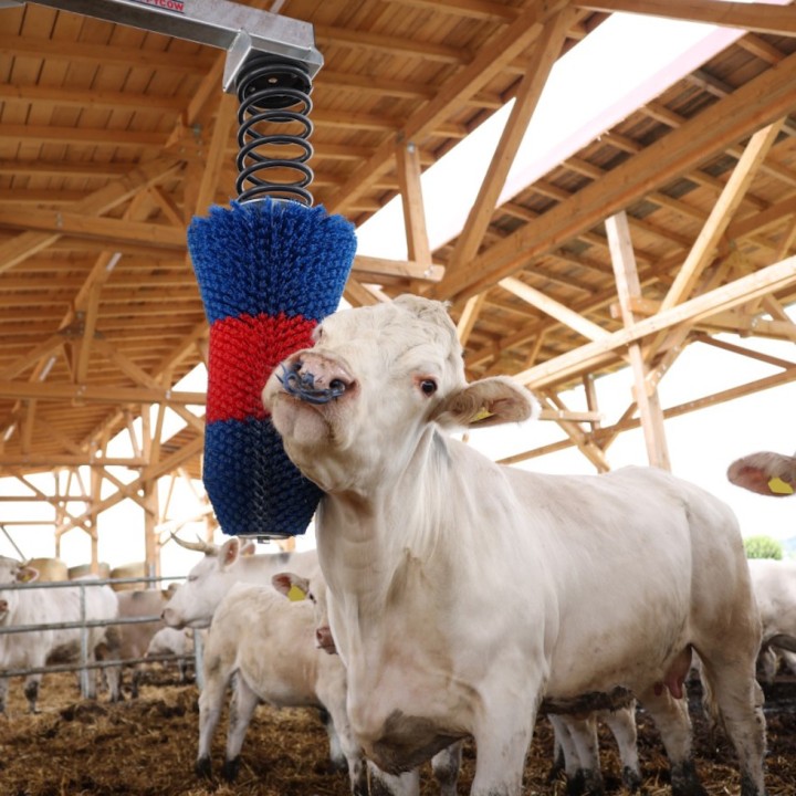 Brosse à vache HappyCow FlexiSwing Kerbl