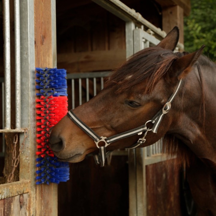 Brosse à gratter demi-ronde Betty, 50x22 cm, rouge et bleu Kerbl