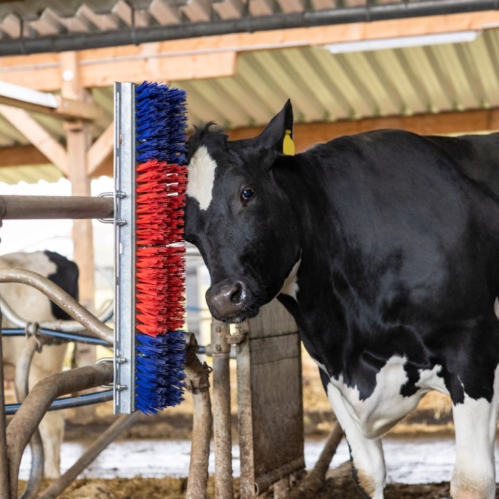 Brosse HappyCow Bully, 90x30 cm, rouge et bleu Kerbl