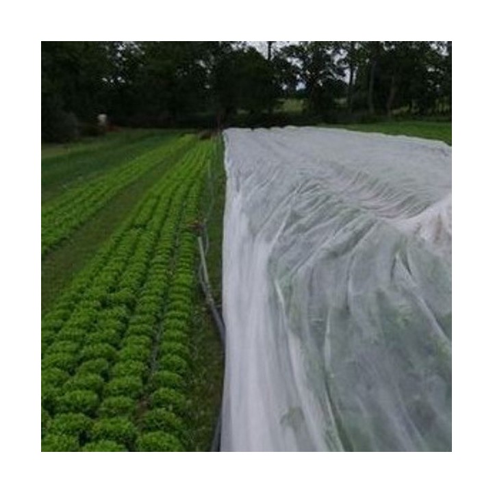 Voile hivernage ou forçage, 17 gr/m², non tissé blanc, Lonodis, rouleaux 100 et 250 m, largeurs standard