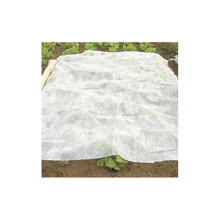 Voile d’hivernage / Voile de forçage 19 g/m² – 2 m x 250 m – LONODIS Protection PRO haute performance