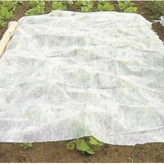 Voile d’hivernage / forçage 19 g/m² – LONODIS Ultra Large 12,75 m x 250 m