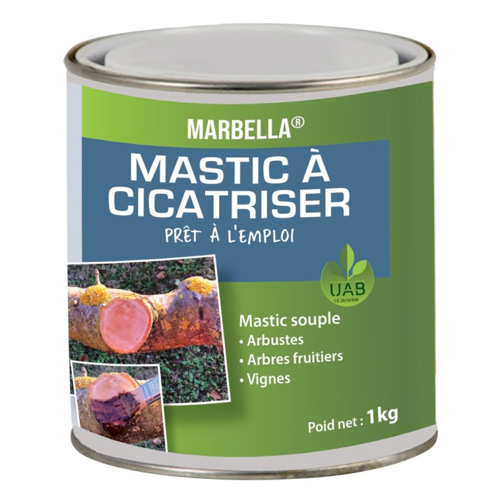 Mastic à cicatriser ECOCERT à froid MARBELLA - 1 kg