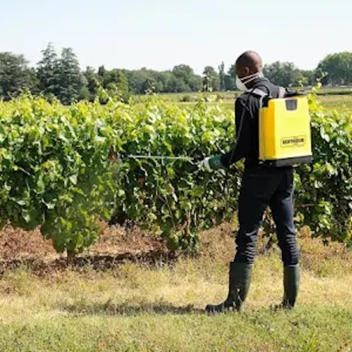 Pulvérisateur à dos pression entretenue COSMOS PRO Berthoud - 18 L