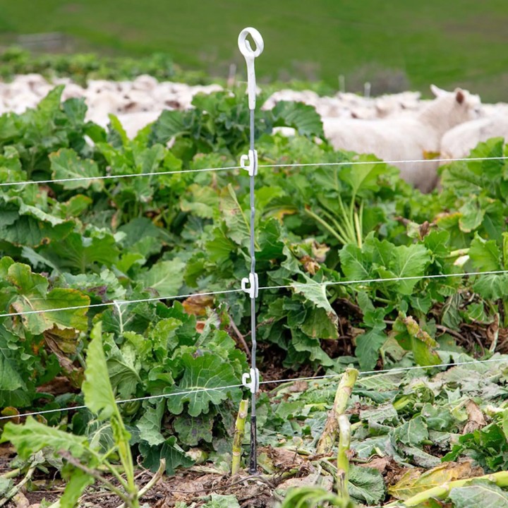 Isolateur blanc pour piquet multi-fil Insulator Gallagher (20 unités)