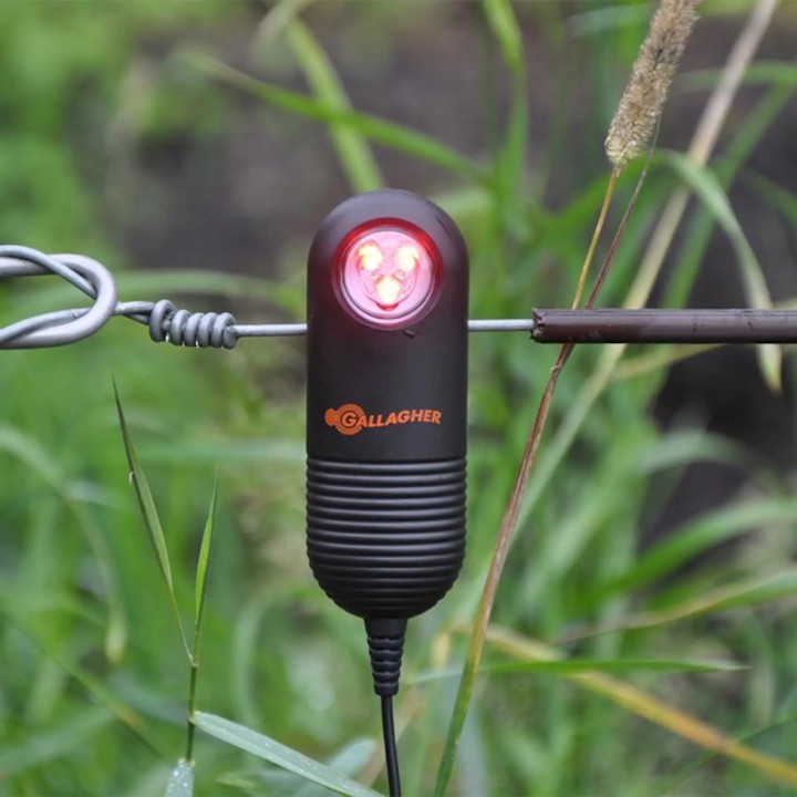 Témoin de clôture LED Live Fence Gallagher