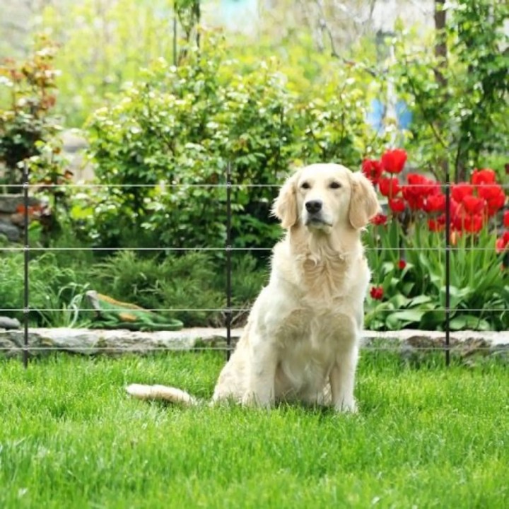 Kit jardin 80 cm, M35 230V Gallagher