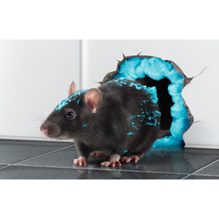 Rodenticide Racumin Foam Envu - Mousse prête à l'emploi - Bombe 500 ml