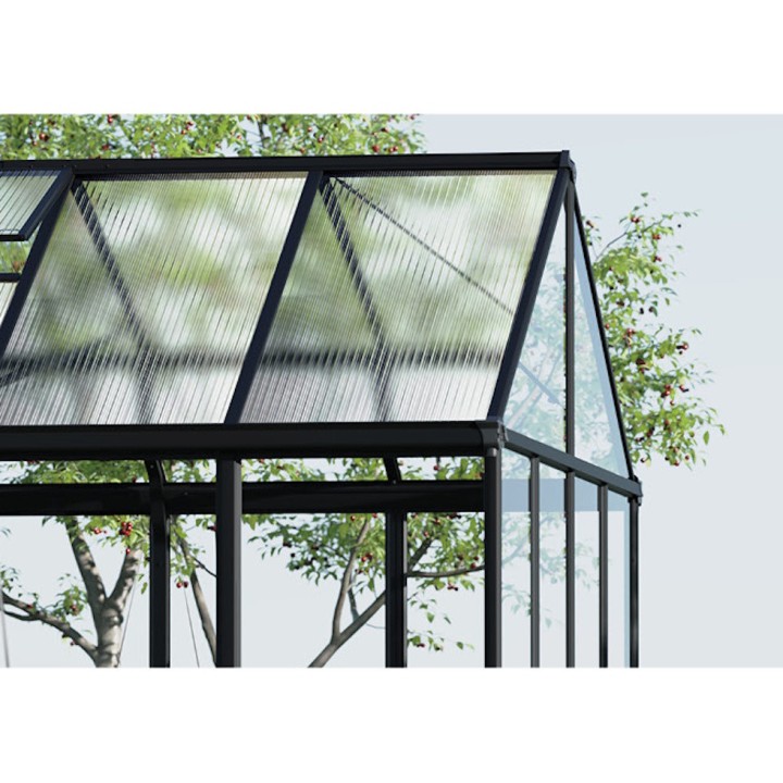 Serre de jardin Aria Crystal Canopia - Structure noire - Panneaux transparents