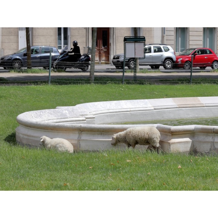 Mélange prairie espaces urbains BARVÉGÉ ÉCO-PÂTURAGE 15 kg - Barenbrug