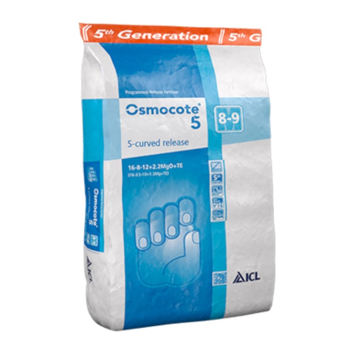 copy of 