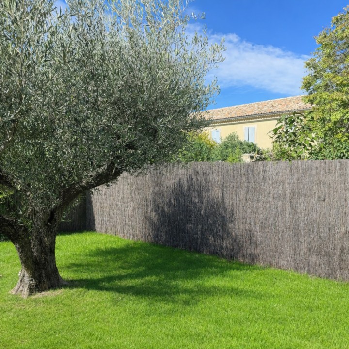 Canisse Bruyère Premium NATURA LOUNGE Haute Densité, Longueur 3m
