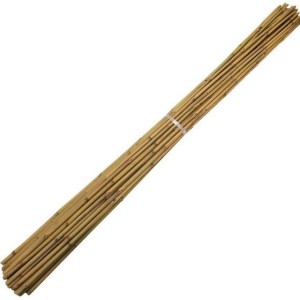 Perches Bambous 295cm - diamètre 24-26mm Paquet de 50