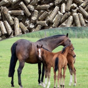 Aliment granulé "Equilibre" pour cheval - Lohla - 25 kg
