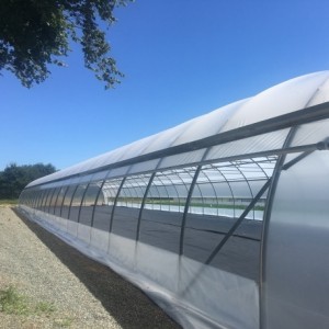 Bavette habillage Agrithermic Cristal, dim. 2 x 70 m