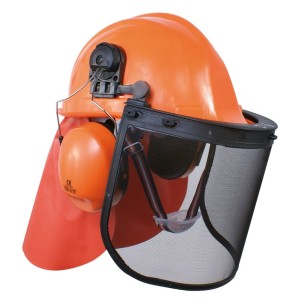 Casque forestier professionnel complet