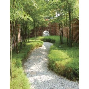 Membrane Barrière anti-racines anti Rhizome GEOROOT+ bambous et plantations agressives, épaisseur 1 mm
