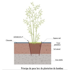 Membrane Barrière anti-racines anti Rhizome GEOROOT+ bambous et plantations agressives, épaisseur 1 mm