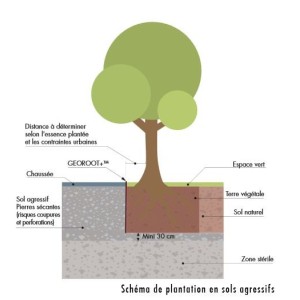 Membrane Barrière anti-racines anti Rhizome GEOROOT+ bambous et plantations agressives, épaisseur 1 mm