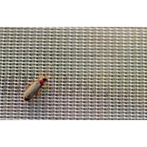 Filet Anti-Insecte FILBIO très léger 17gr/m2 à mailles fines anti-Uv  1 saison