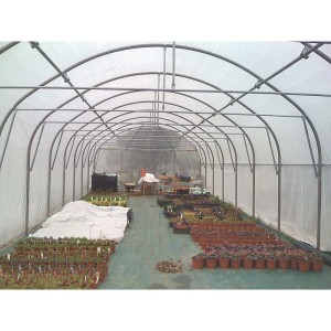 Serre tunnel Pro-Ser Axame, 6 x 6 m, pieds droits AXAMPRO66PEPRPR