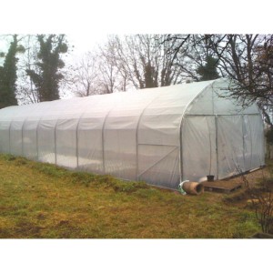 Serre tunnel Pro-Ser Axame, 6 x 6 m, pieds droits AXAMPRO66PEPEPCALE