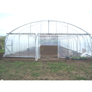 Serre tunnel Pro-Ser Axame, 6 x 20 m, pieds droits AXAMPRO620PEPCPRALE