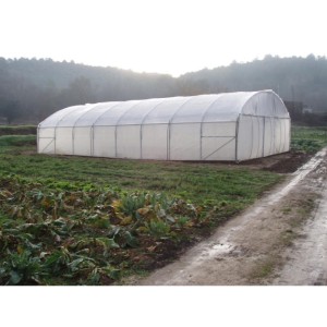Serre tunnel Pro-Ser Axame, 8 x 10 m, pieds droits AXAMPRO810PEPRPR