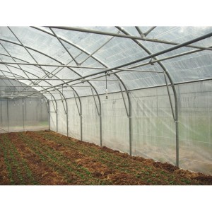 Serre tunnel Pro-Ser Axame, 9,60 x 20 m, pieds droits AXAMPRO920PEPCPCALE