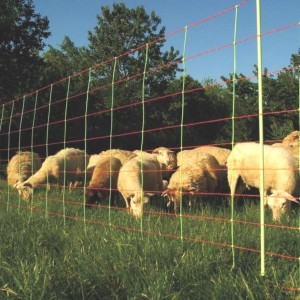 Filet Moutons Combi Hauteur 90 cm - Rouleau de 50 m