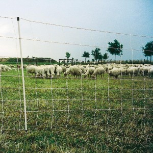 Filet moutons Turbo blanc pointe simple haut. 90 cm, rouleau de 50 m Gallagher