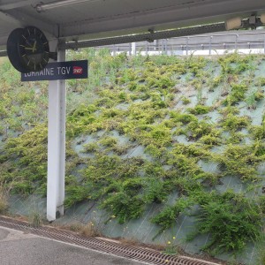 Toile Paillage VERTE Beaulieu - Toile Hors-Sol PRO Haute Résistance 130 gr /m2 Rouleau de 100m