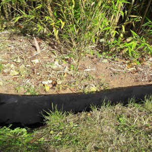 Membrane Barrière anti-racines anti Rhizome GEOROOT+ bambous et plantations agressives, épaisseur 1 mm
