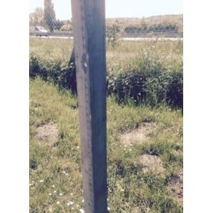 Piquet de Parc Agricole en T, acier brut, Hauteur 2 m par 100 unités