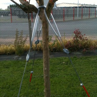 Kit d'haubanage 3 points pour arbre