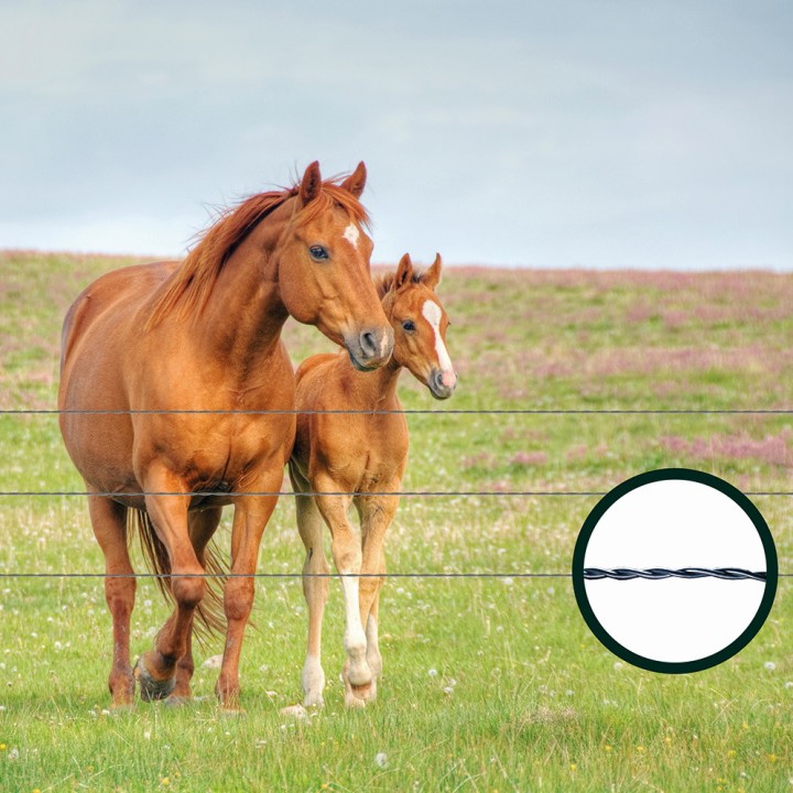 Câble Lisse galvanisé pour Clôture Chevaux rouleau 200 m
