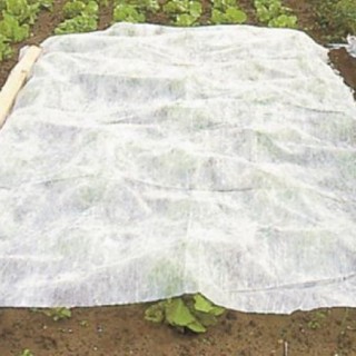 Voile Non Tissé 18gr/m² Blanc LONODIS PRO