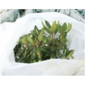 Voile hivernage ou forçage, 30 gr/m², non tissé blanc, Lonodis, rouleaux 100 et 250 m, spécial pépinière